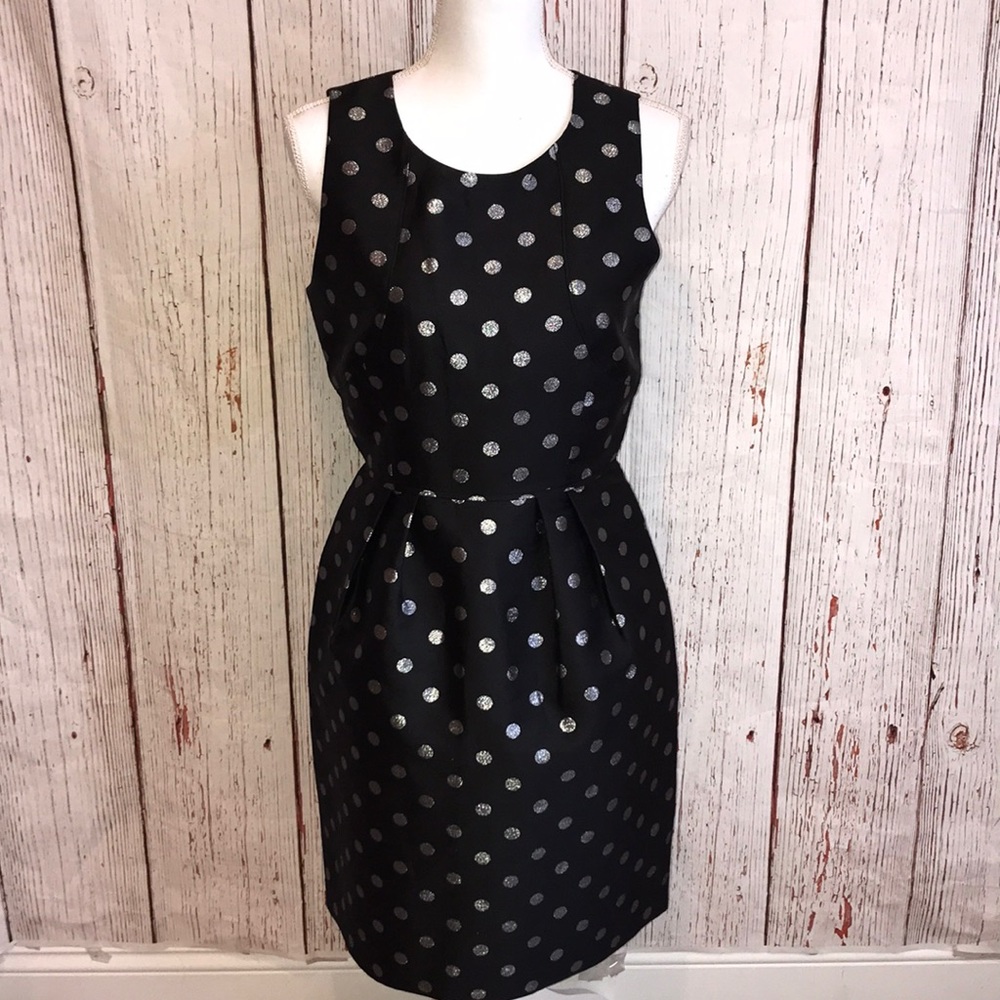 J crew dress